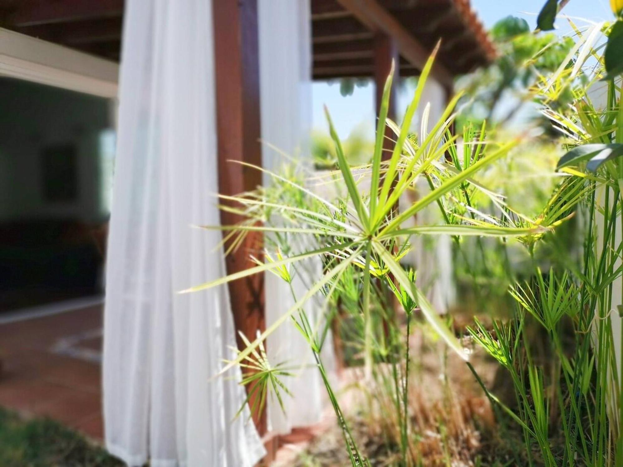 Los Porches D40 By Pride Holiday Rentals San Bartolome de Tirajana  Exterior photo